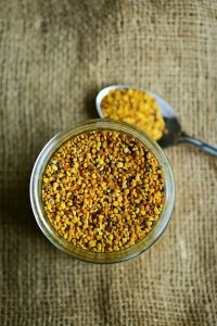 bee-pollen-2549125_640.jpg